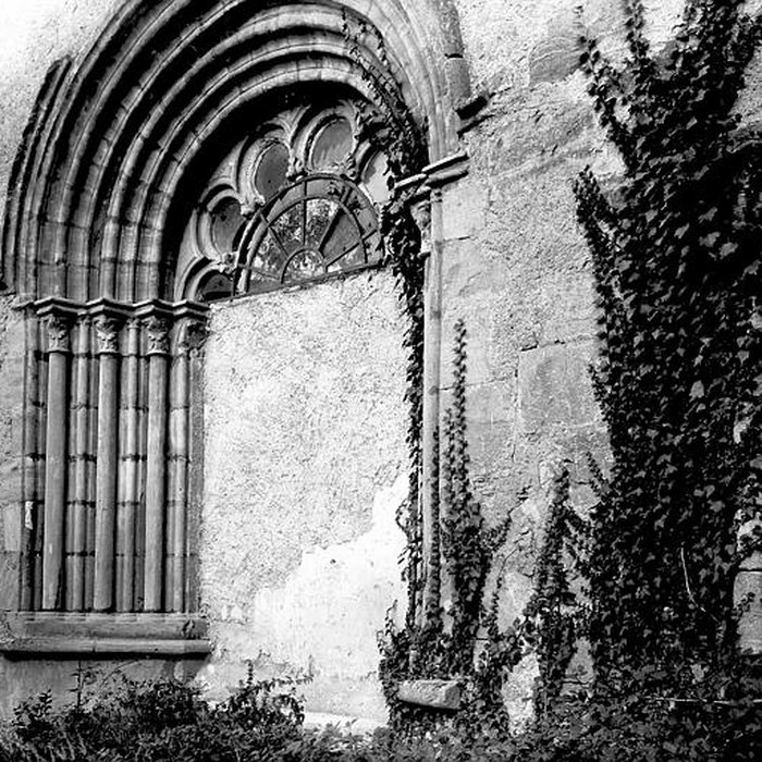 Photo de Église Saint-Médulphe de Saint-Myon