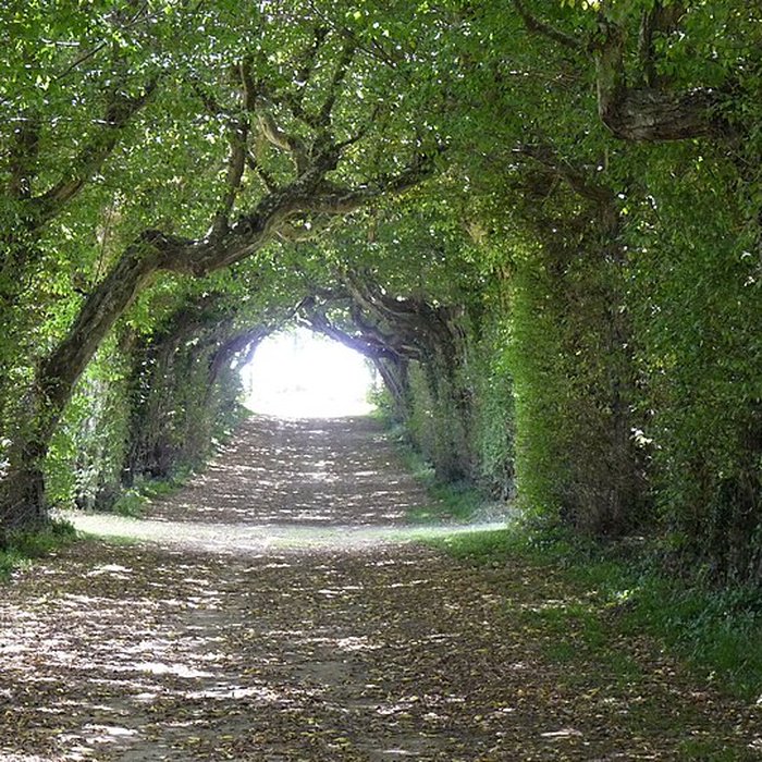 Photo de Château de la Rongère