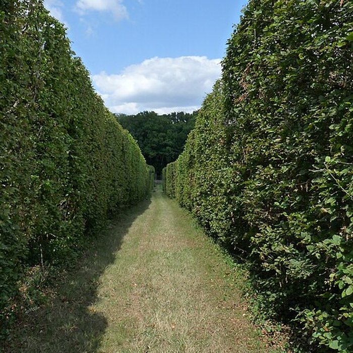 Photo de Château de la Rongère