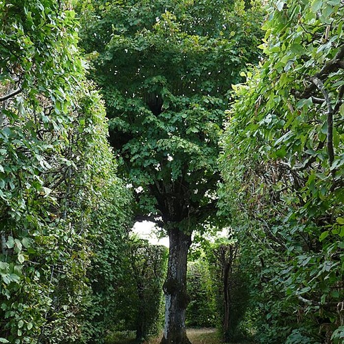 Photo de Château de la Rongère