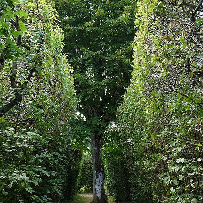 Photo de Château de la Rongère
