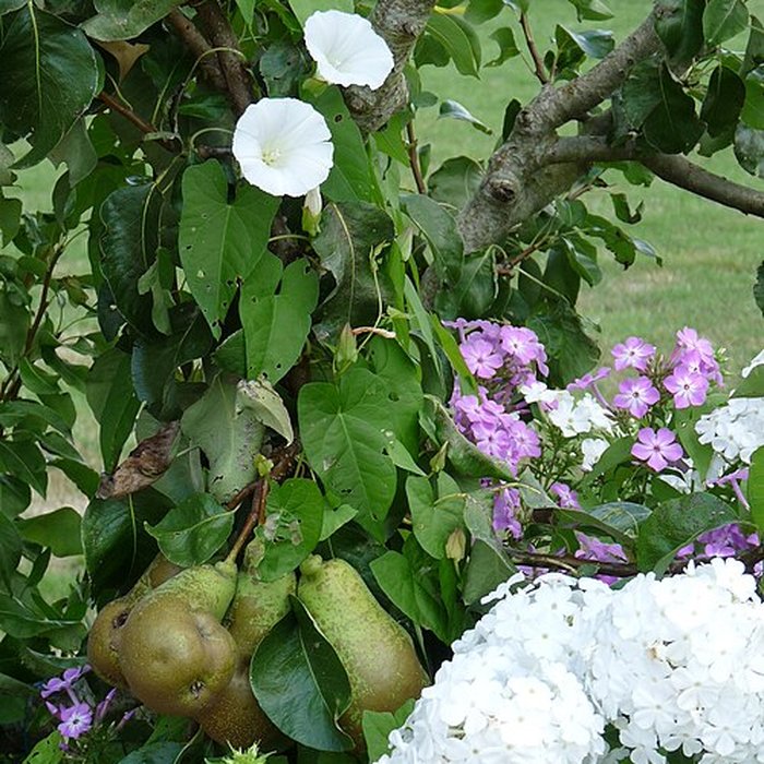 Photo de Château de la Rongère