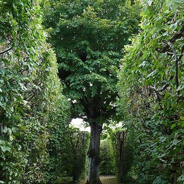Château de la Rongère