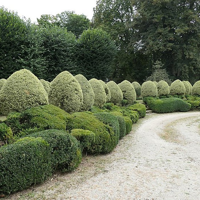 Photo de Hôtel du Bas du Gast