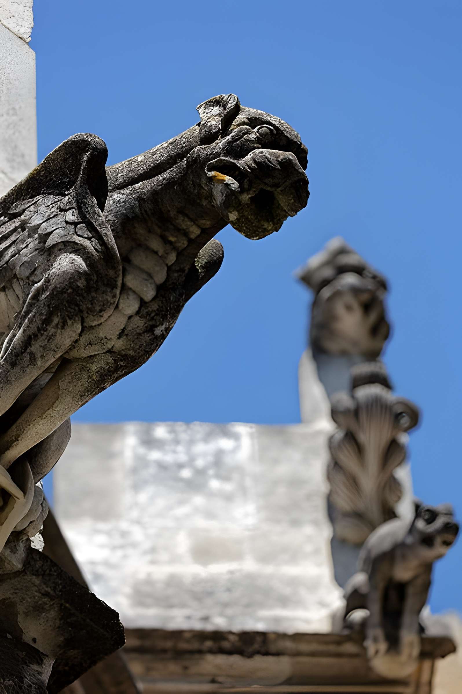 Église Saint-Michel de Caderousse