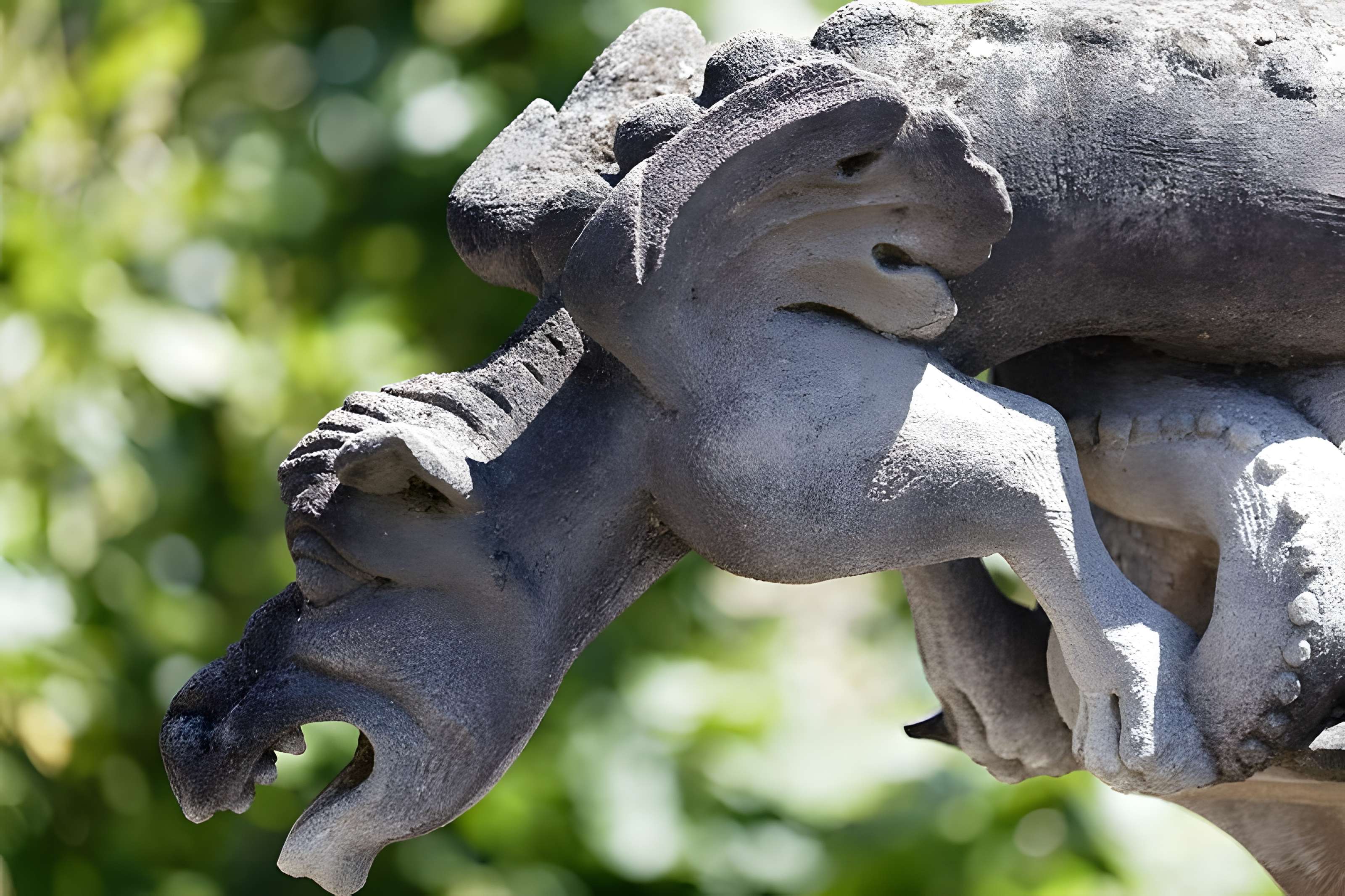 Église Saint-Michel de Caderousse