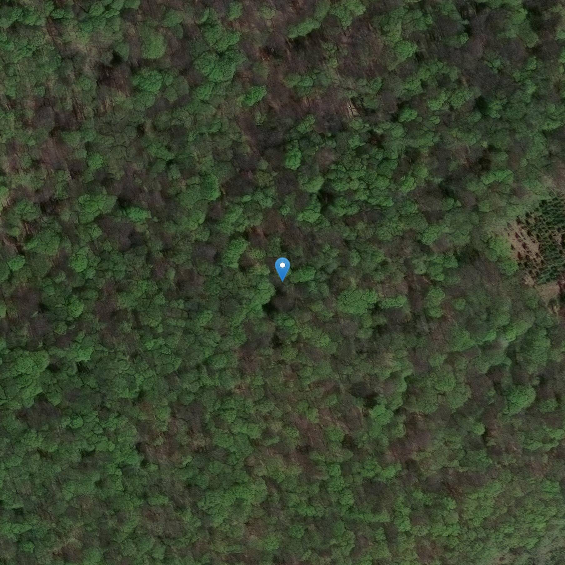 Photo de Megalith Begräbnis genannt La Pierre au Renard