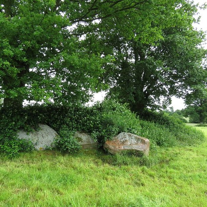 Photo de Menhir dit La Pierre au Diable