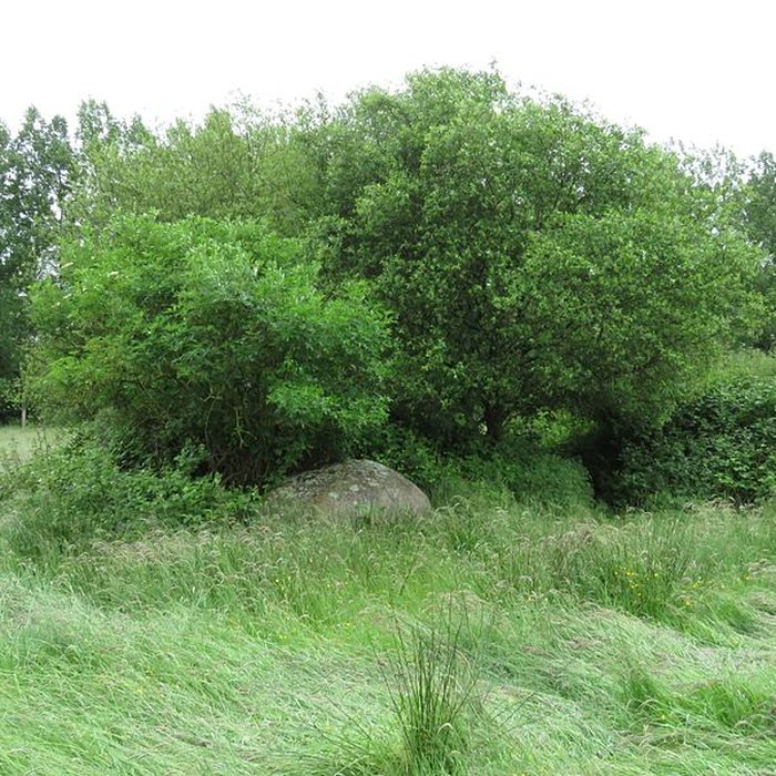 Photo de Menhir dit La Pierre au Diable
