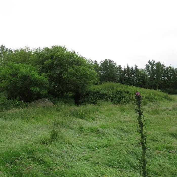 Photo de Menhir dit La Pierre au Diable