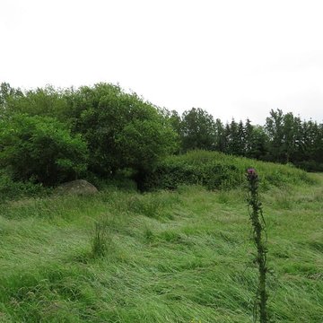Menhir dit La Pierre au Diable