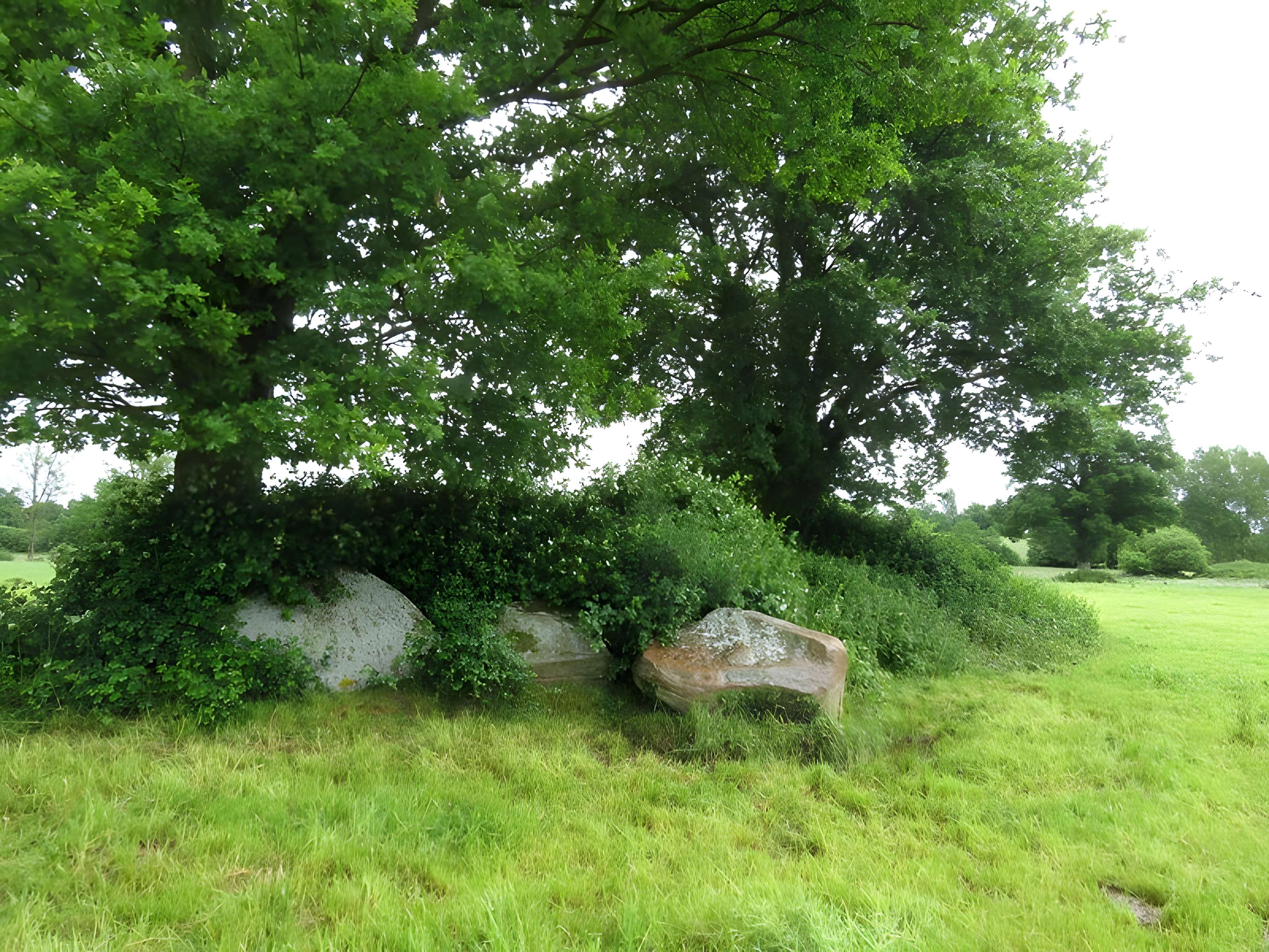 Menhir dit La Pierre au Diable