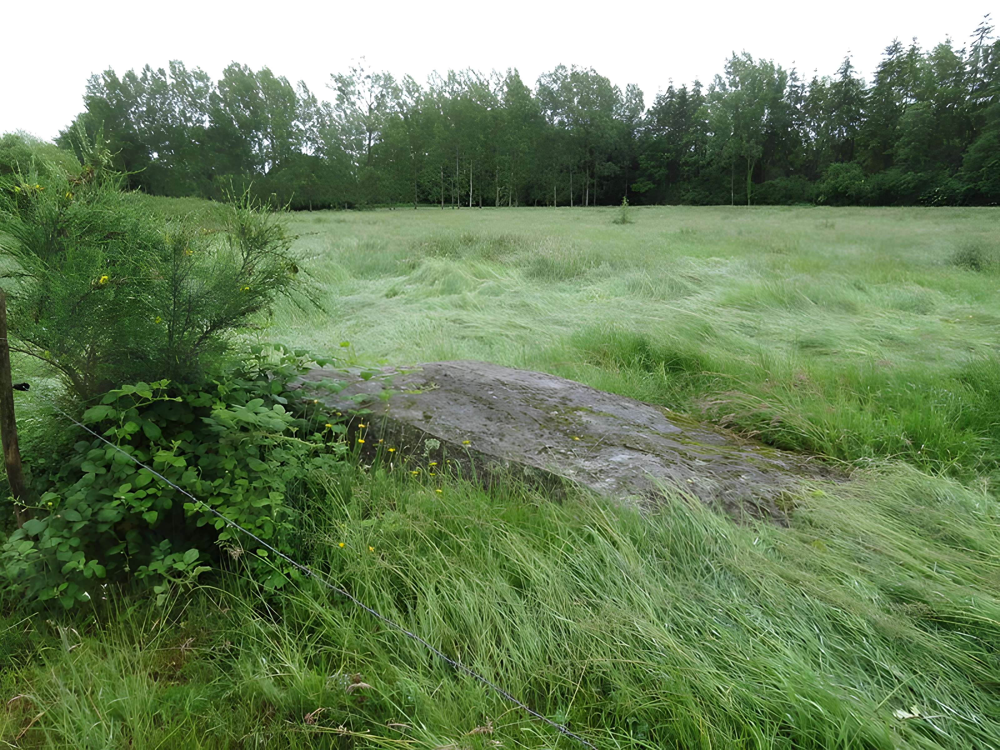 Menhir dit La Pierre au Diable