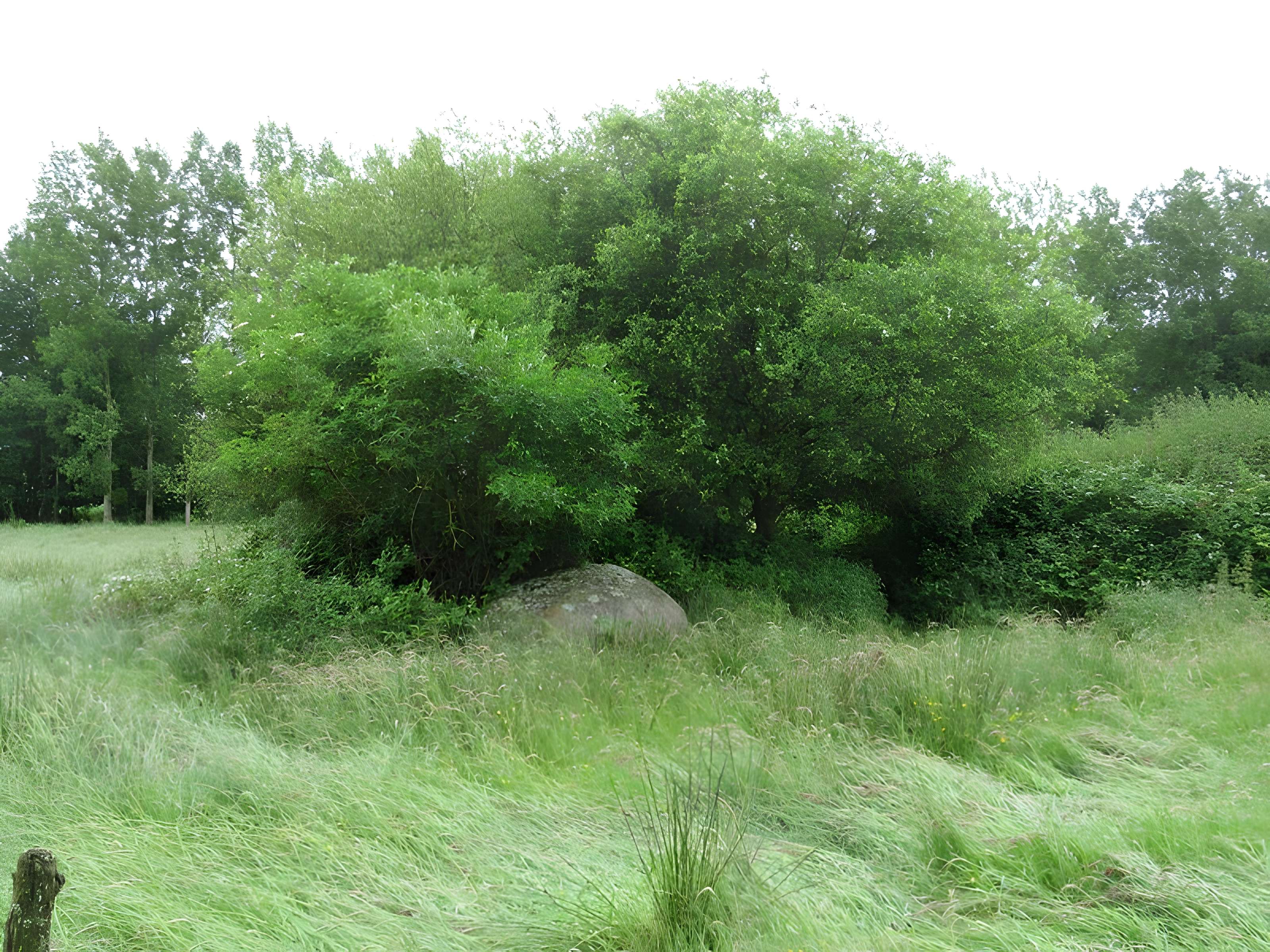Menhir dit La Pierre au Diable