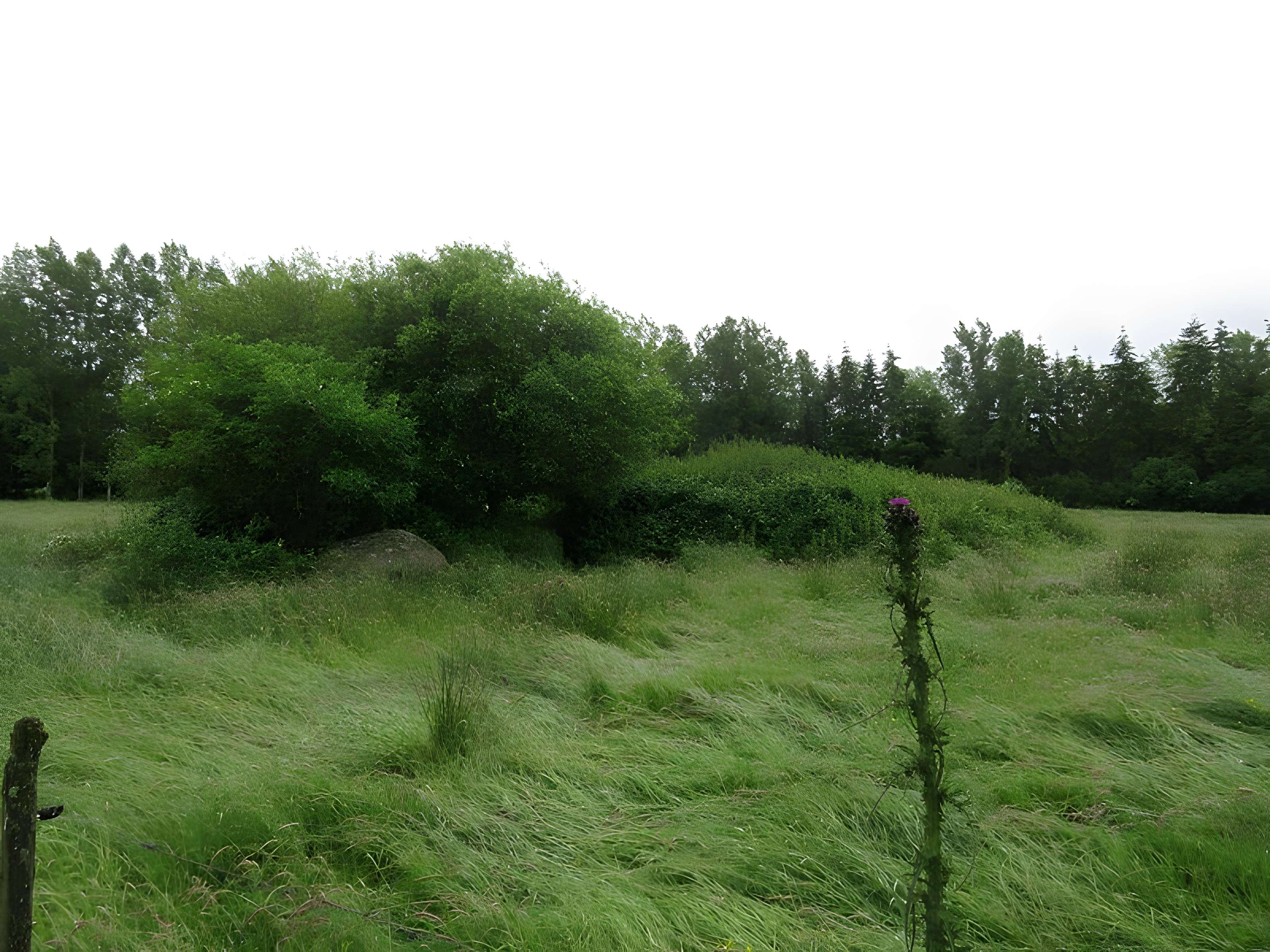 Menhir dit La Pierre au Diable