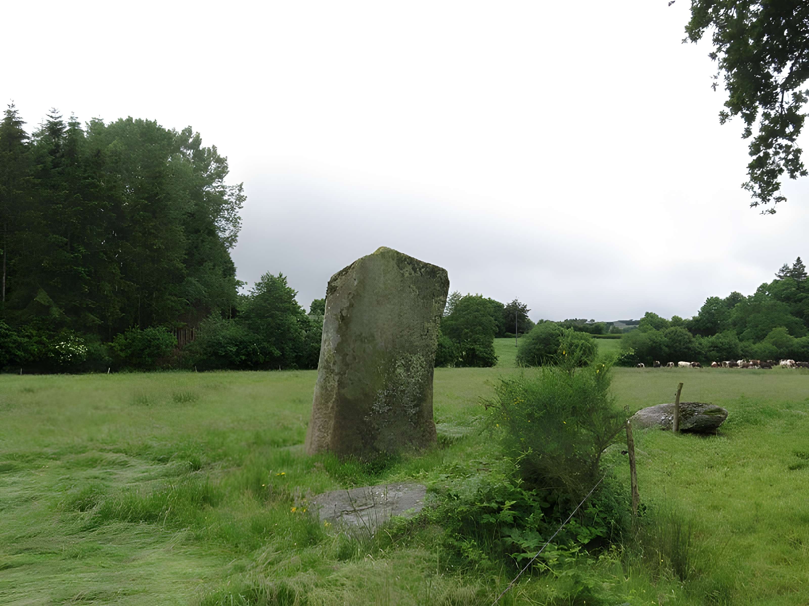 Menhir dit La Pierre au Diable
