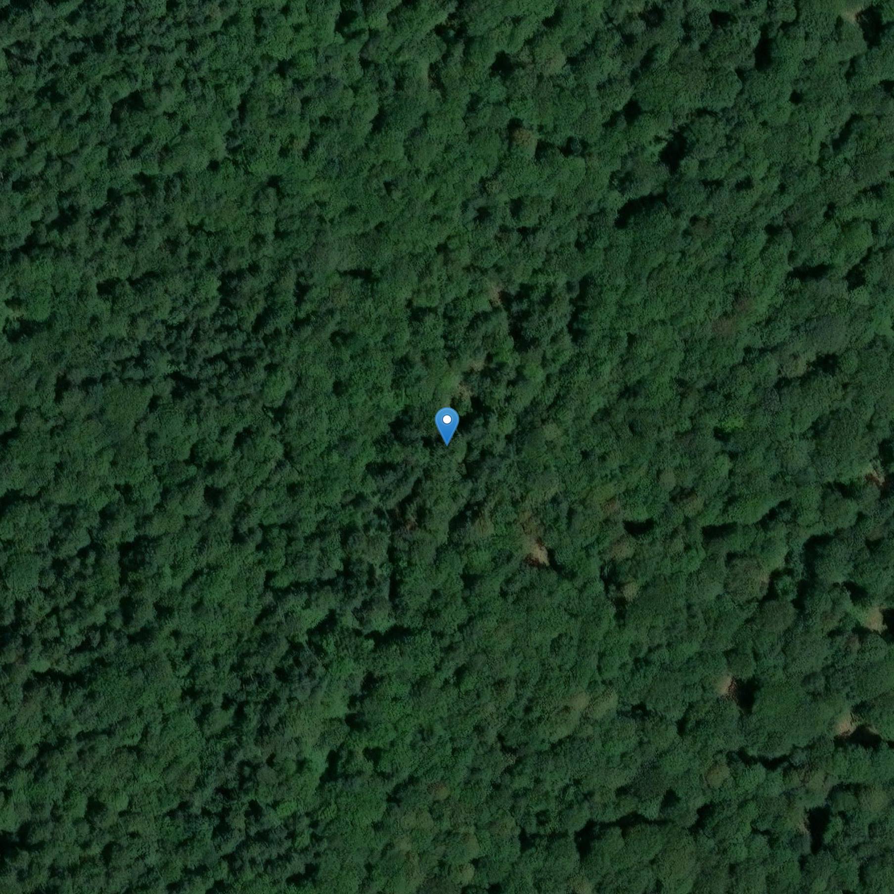 Photo de Carretera cubierta desde el 197 en el bosque de Mayenne