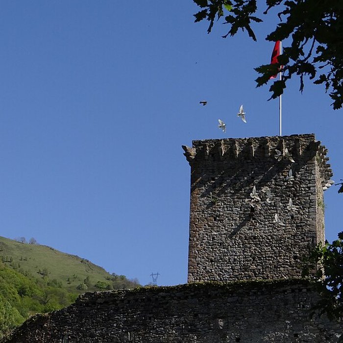 Photo de Château de Beaucens 