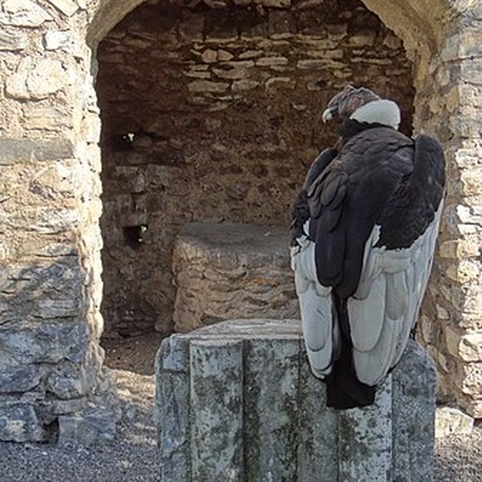 Photo de Château de Beaucens 