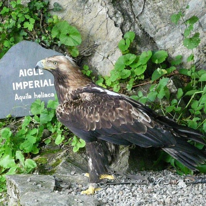 Photo de Château de Beaucens 