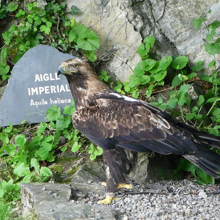 Photo de Château de Beaucens 