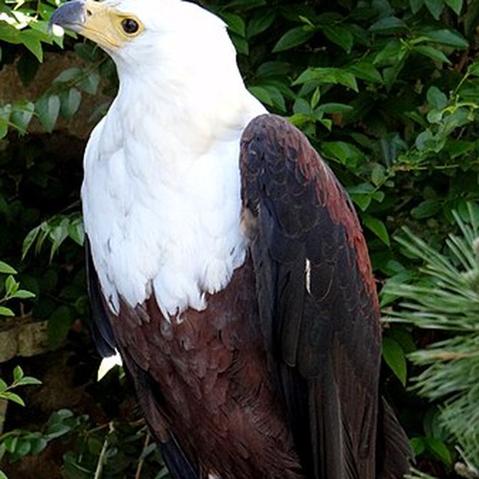 Photo de Château de Beaucens 
