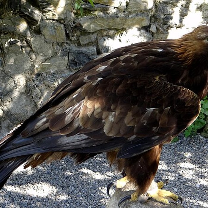 Photo de Château de Beaucens 