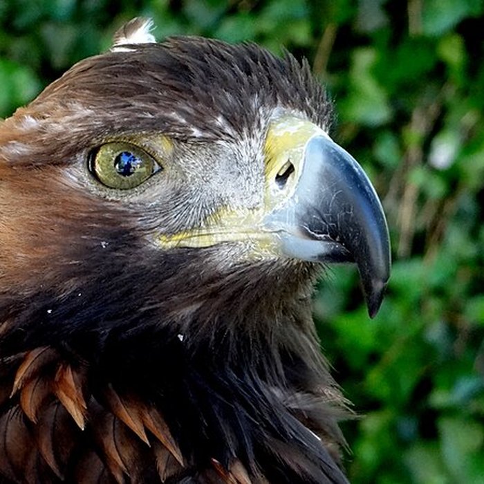 Photo de Château de Beaucens 