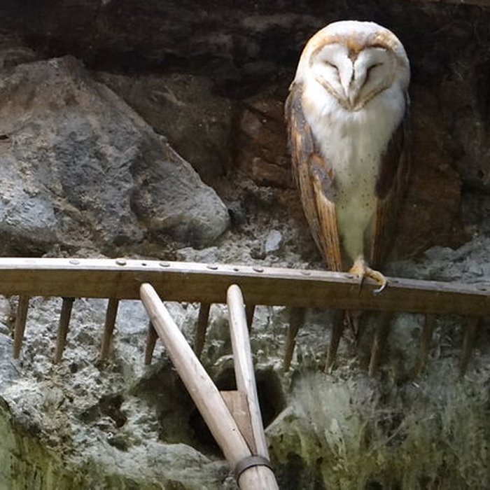 Photo de Château de Beaucens 