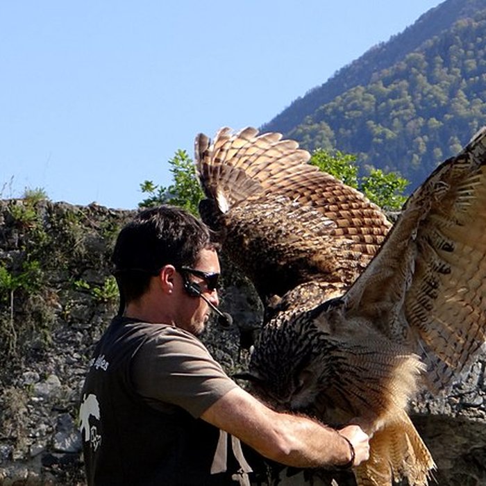 Photo de Château de Beaucens 