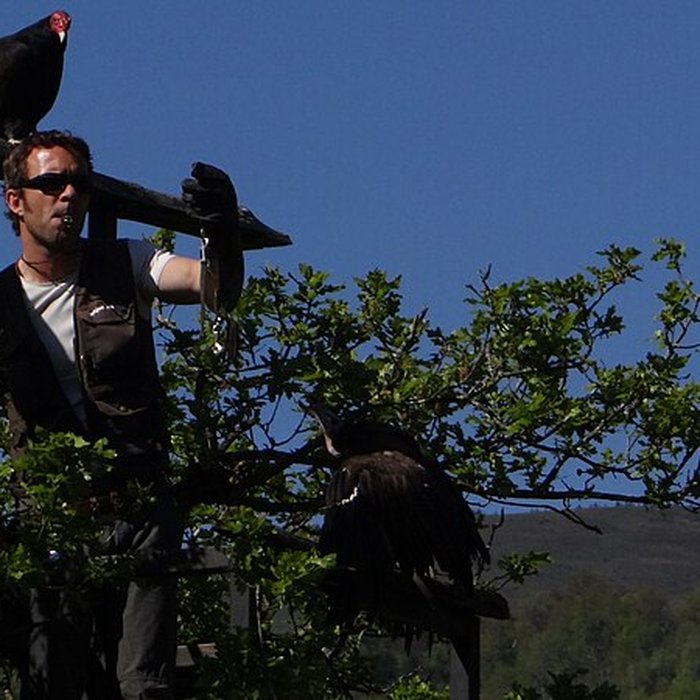 Photo de Château de Beaucens 