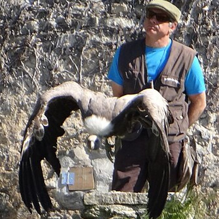 Photo de Château de Beaucens 