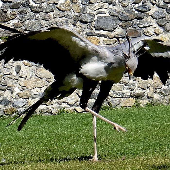 Photo de Château de Beaucens 