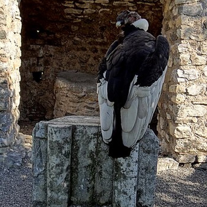 Photo de Château de Beaucens 