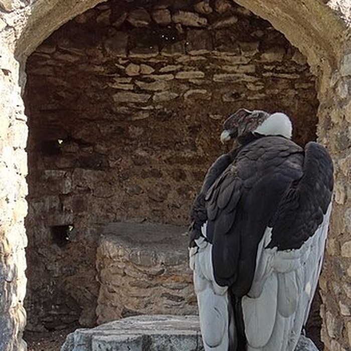 Photo de Château de Beaucens 
