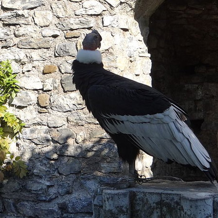 Photo de Château de Beaucens 