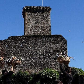 Château de Beaucens 
