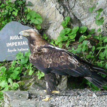 Château de Beaucens 