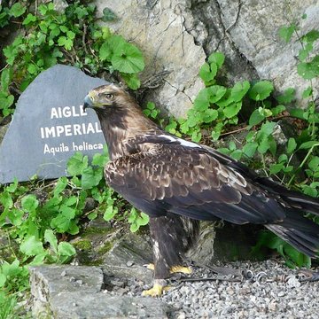 Château de Beaucens 