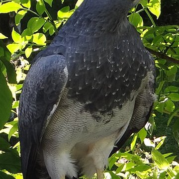 Château de Beaucens 
