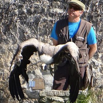 Château de Beaucens 