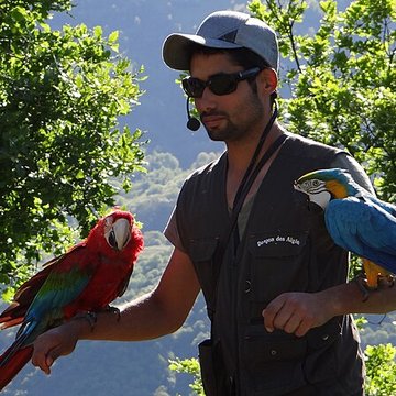 Château de Beaucens 