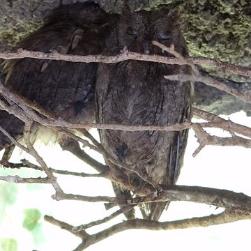 Château de Beaucens 