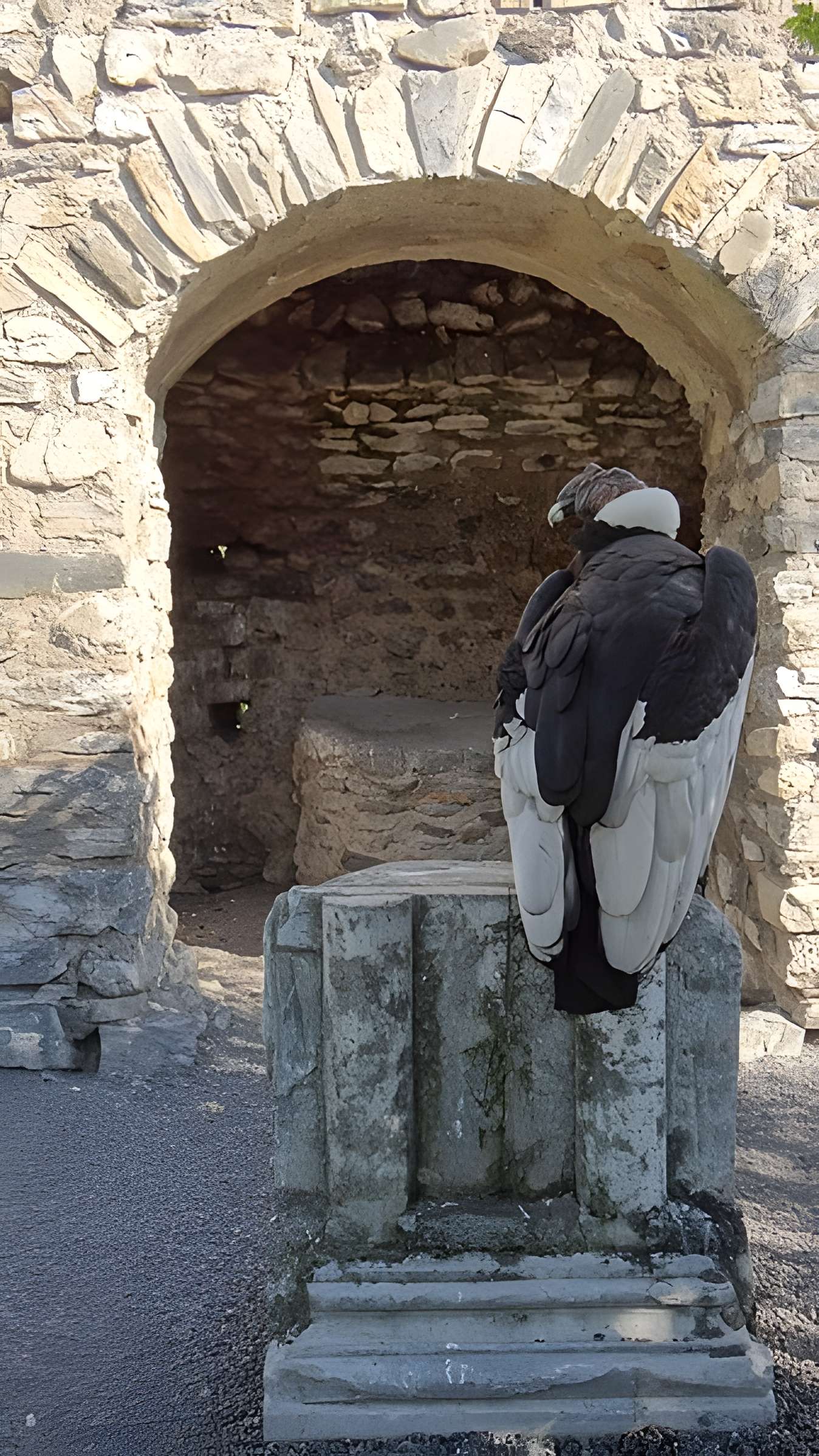 Château de Beaucens 