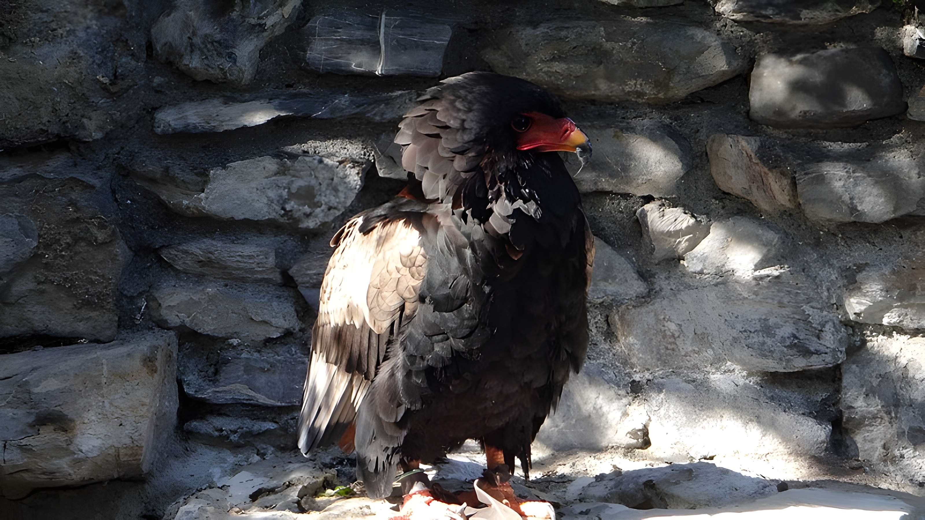 Château de Beaucens 