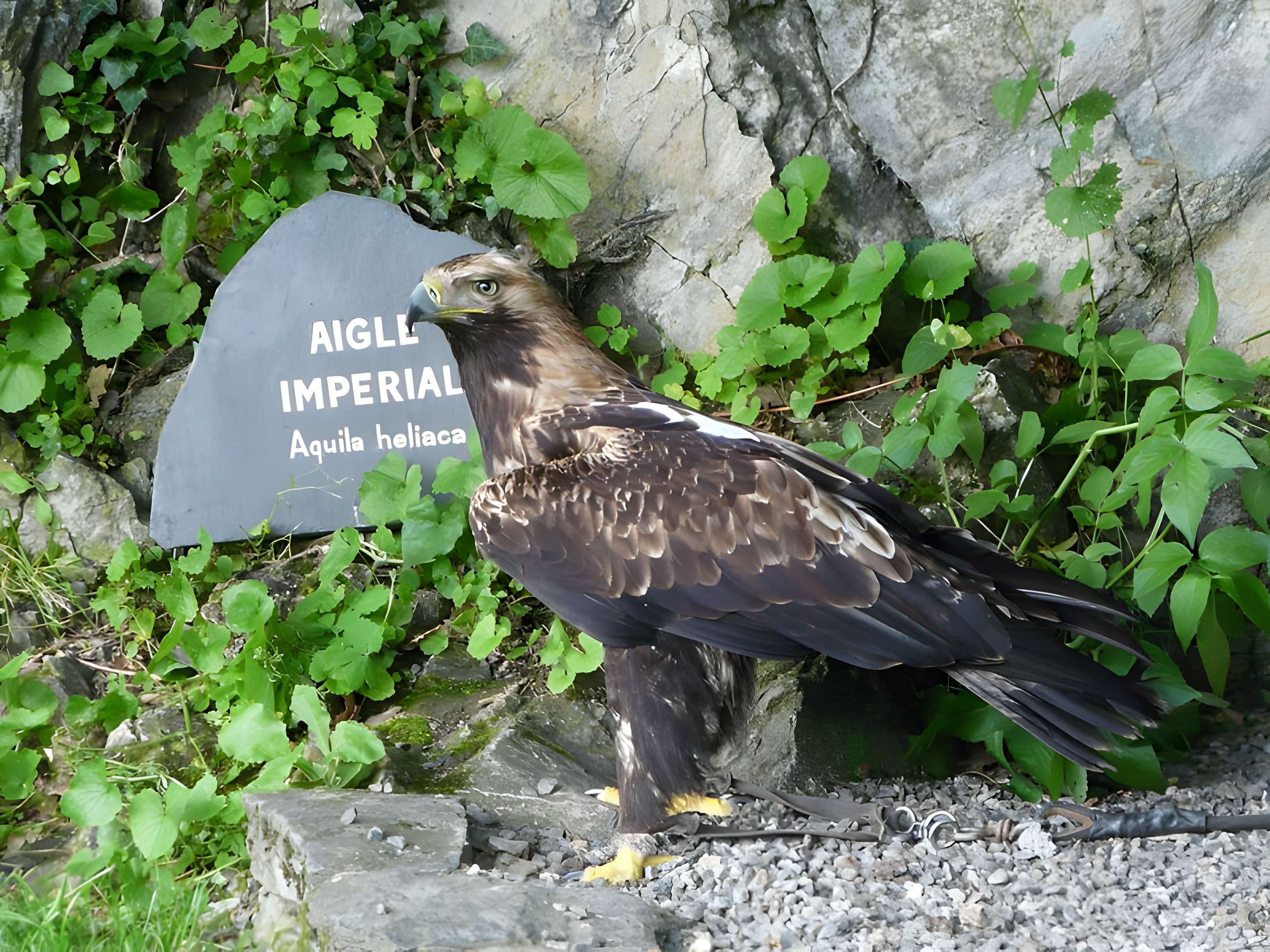 Château de Beaucens 