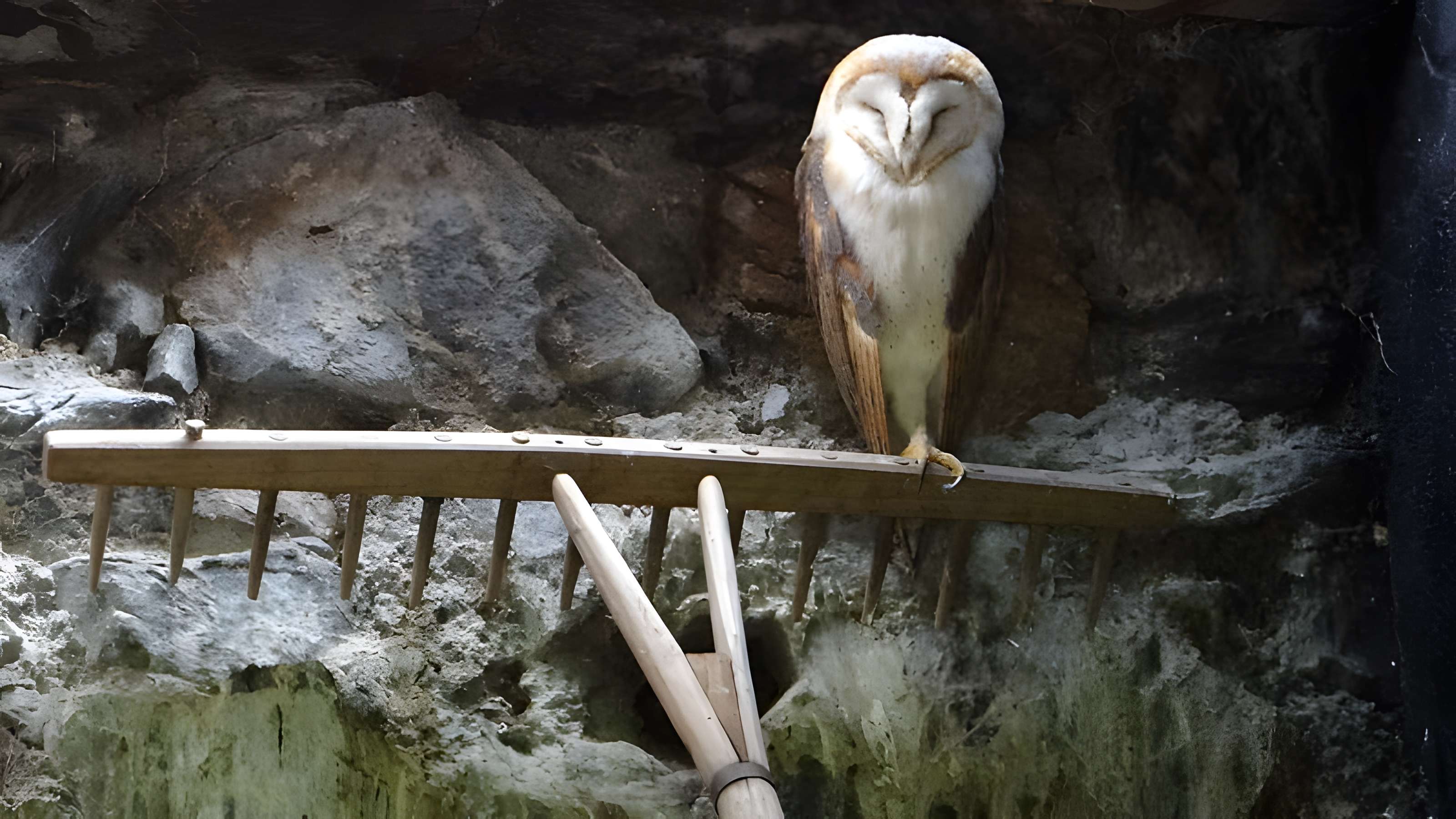 Château de Beaucens 