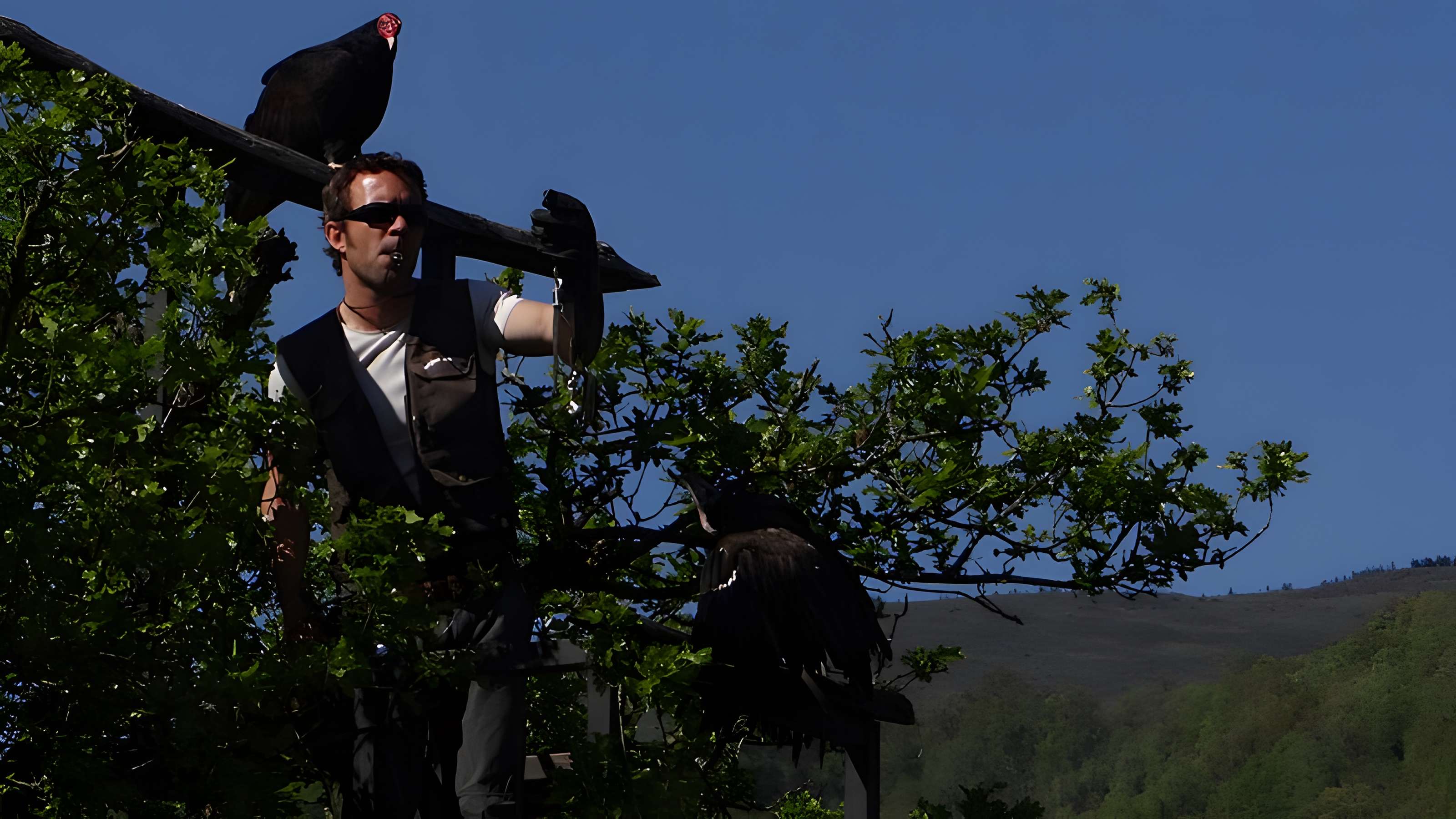 Château de Beaucens 