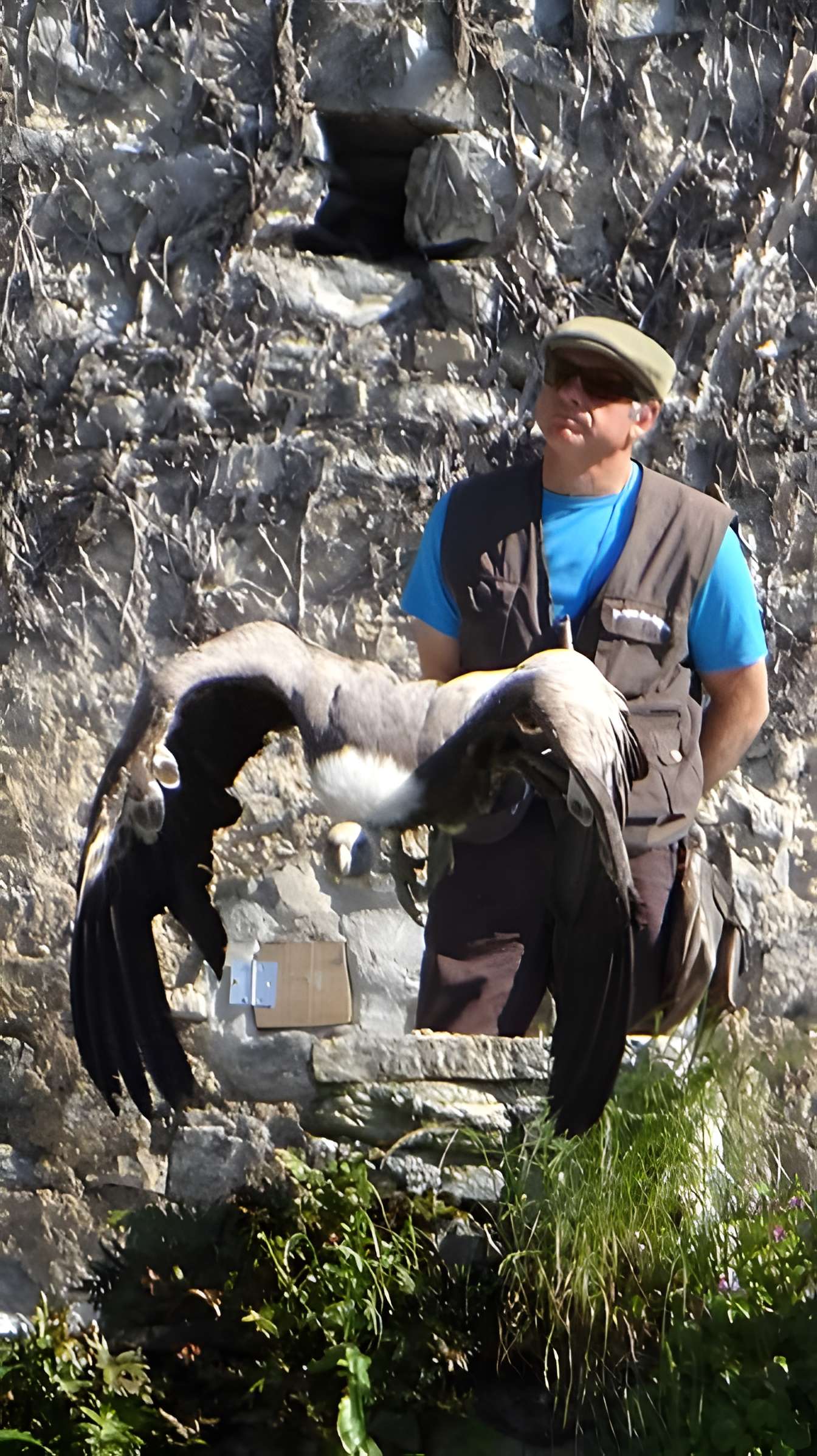 Château de Beaucens 
