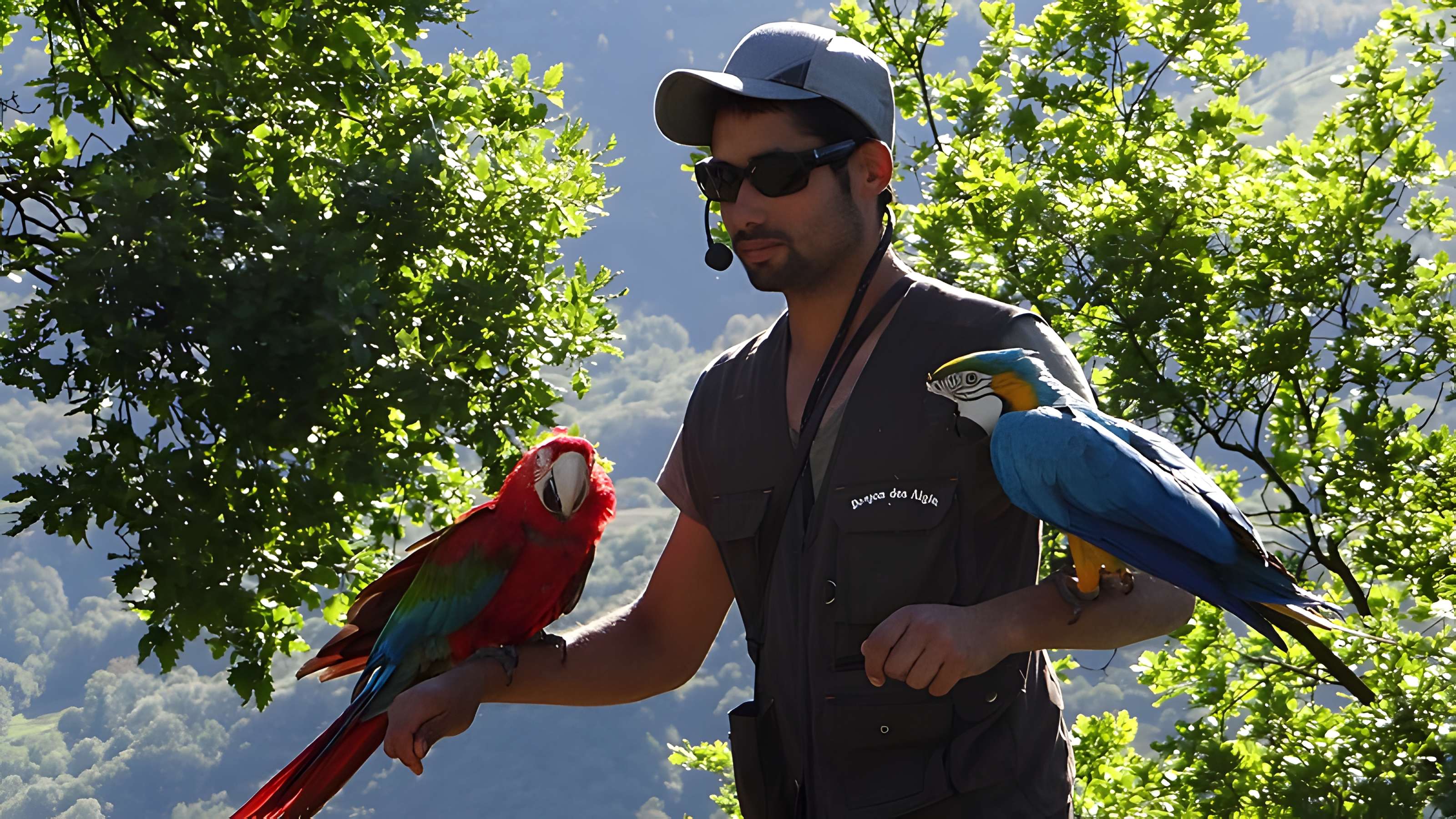 Château de Beaucens 